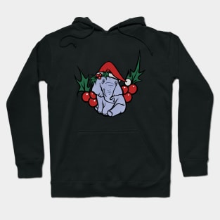 Christmas Elephant Hoodie